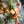 Load image into Gallery viewer, Lake Folks Holiday Hudson