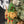 Load image into Gallery viewer, Lake Folks Holiday Hudson